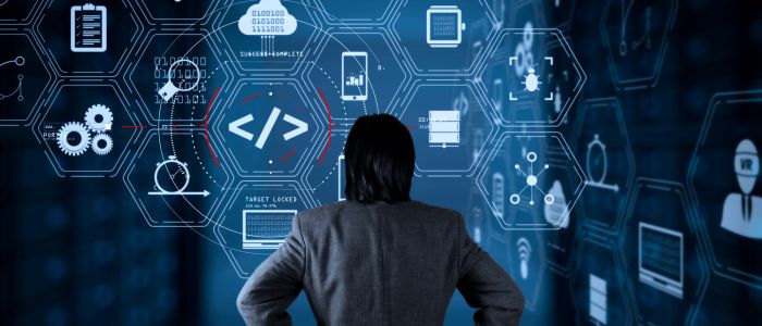 Bespoke Software Development